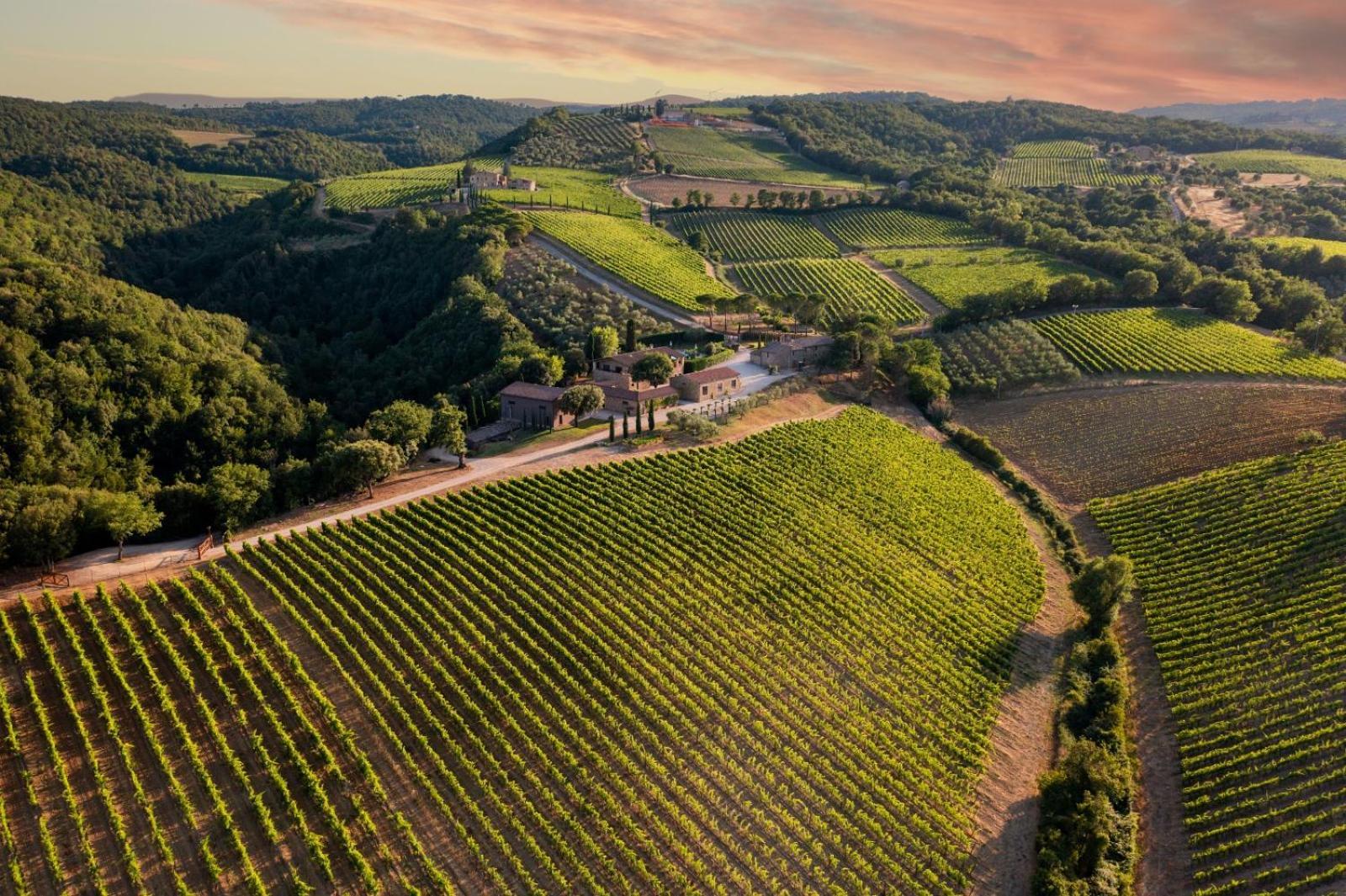 Tenuta San Filippo Montalcino Esterno foto