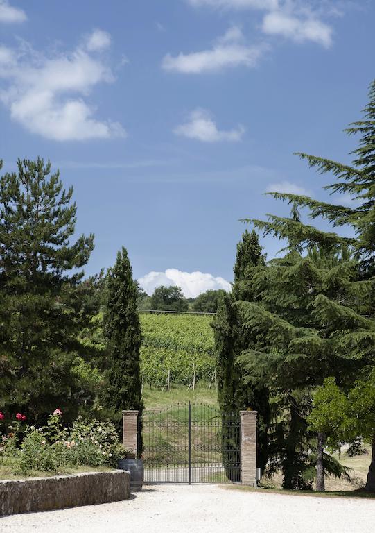 Tenuta San Filippo Montalcino Esterno foto